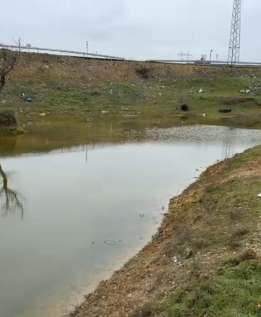 Kuruyan gölet yeniden canlandı: Çatlayan topraklar suyla buluştu
