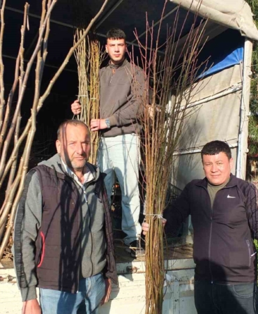 Burhaniye’de meyvecilik gelişiyor