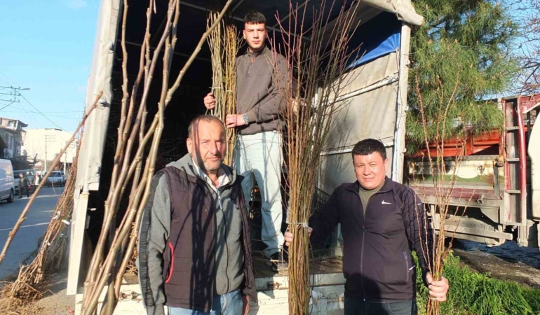 Burhaniye’de meyvecilik gelişiyor
