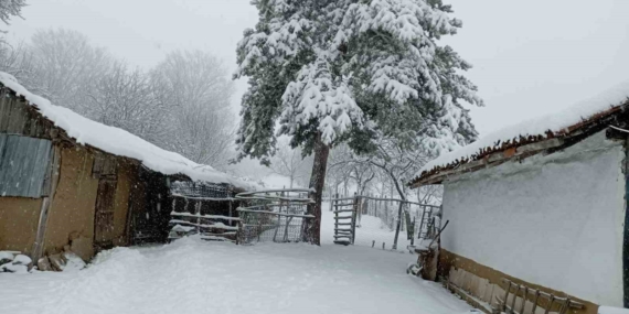 Bilecik bayram sabahına beyaz örtüyle uyandı