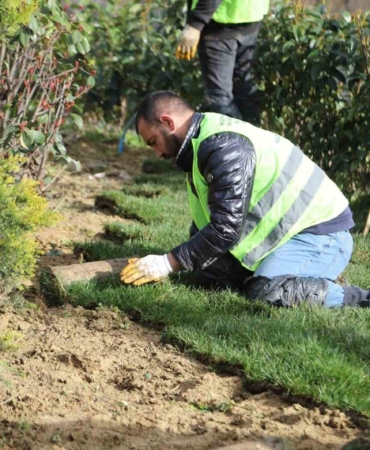 Kağıthane’de yeşil alanlarda bakım ve düzenleme çalışmaları sürüyor