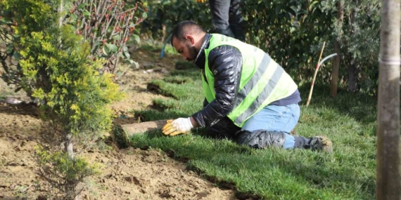 Kağıthane’de yeşil alanlarda bakım ve düzenleme çalışmaları sürüyor