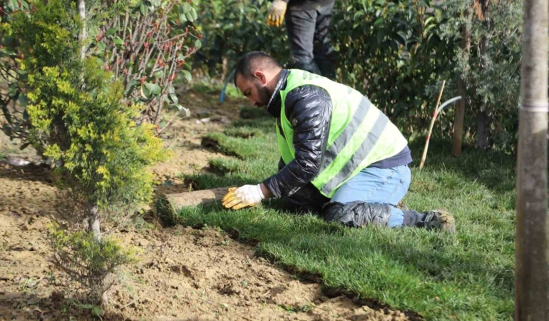 Kağıthane’de yeşil alanlarda bakım ve düzenleme çalışmaları sürüyor