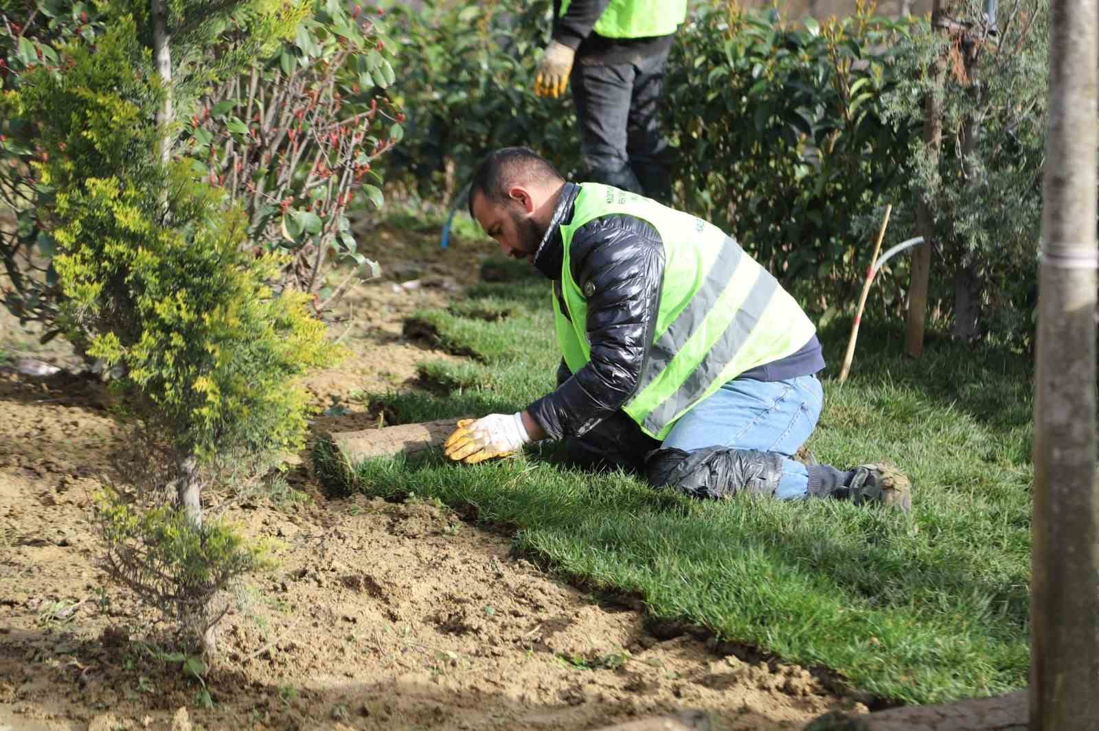 Kağıthane’de yeşil alanlarda bakım ve düzenleme çalışmaları sürüyor