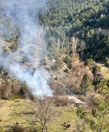 Arazisinde otları temizlik amaçlı yaktı, vatandaş orman yangını ihbarında bulundu