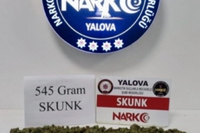 Yalova’da uyuşturucu operasyonları: 1 tutuklama