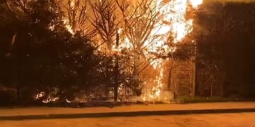 Sebepsiz yere ateşe verilen ağaç itfaiyeyi harekete geçirdi