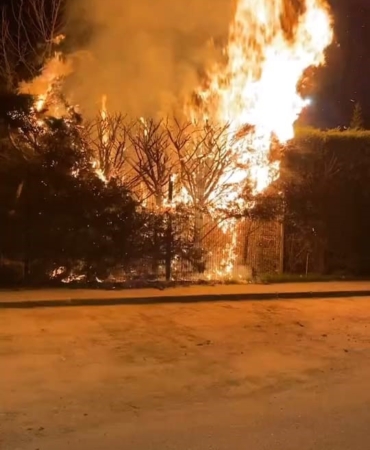 Sebepsiz yere ateşe verilen ağaç itfaiyeyi harekete geçirdi