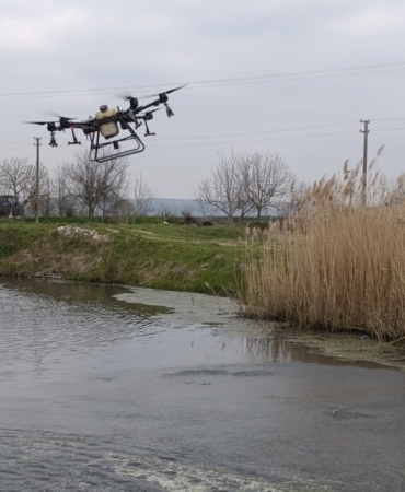 Manyas’ta sivrisinek ile mücadele seferberliği