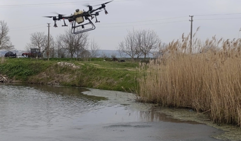 Manyas’ta sivrisinek ile mücadele seferberliği