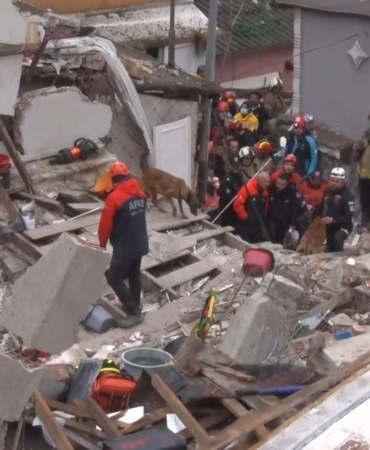 Fatih’te çöken binada enkaz altında kalanları kurtarma çalışmasına köpeklerde katıldı