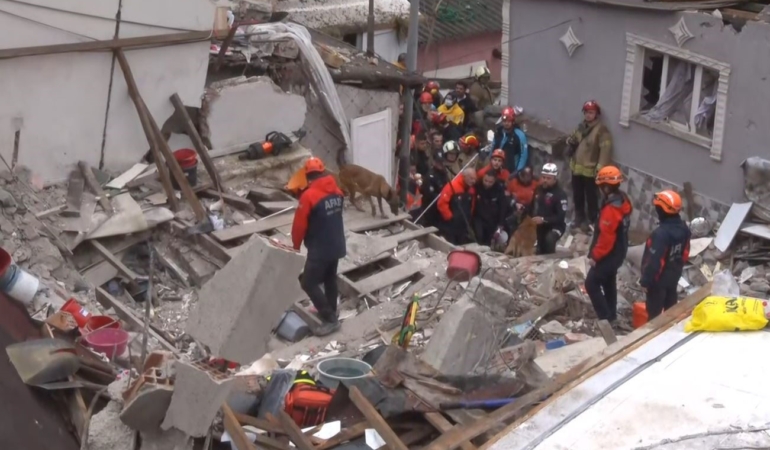 Fatih’te çöken binada enkaz altında kalanları kurtarma çalışmasına köpeklerde katıldı