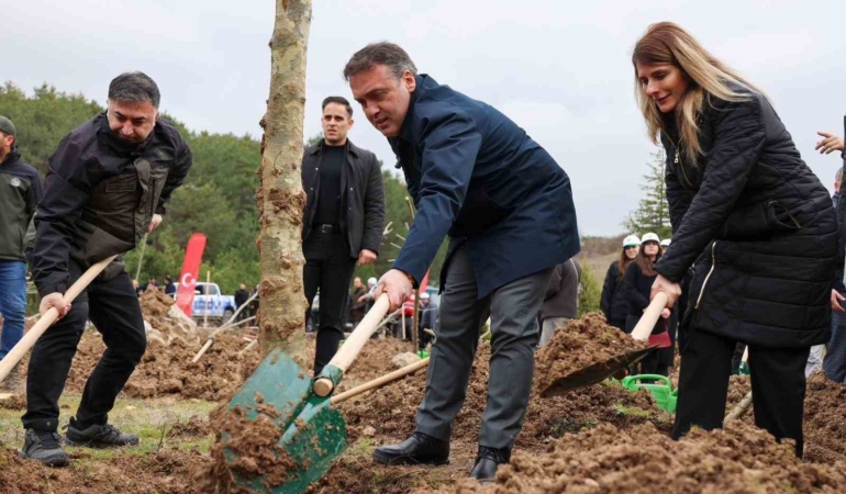 Şeyh Edebali’nin vefatının 700. yıl dönümünde 700 çınar toprakla buluştu
