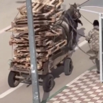 Bursa’da pes dedirten görüntüler