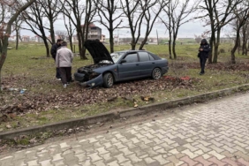 Kontrolden çıkan otomobil ağaçlık alana daldı: 1 yaralı