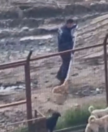 Sakarya Valiliğinden iki ilçedeki barınak görüntülerine ilişkin açıklama