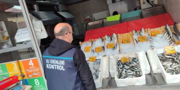 Edirne’de su ürünleri denetimleri sürüyor