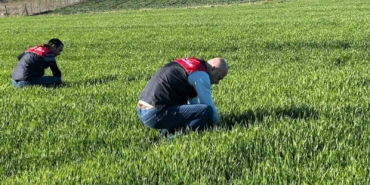 Kırklareli’de tarım arazilerinde denetim: Kanola ve hububat ekilişleri incelendi