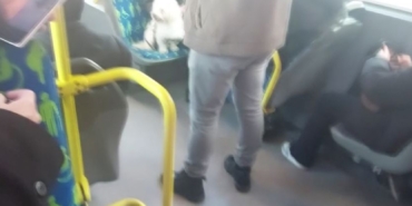 Metrobüste köpek koltukta oturdu, sosyal medyada tartışma başladı