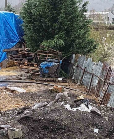 Dereye hayvansal atık bırakan çiftlikler yakalandı