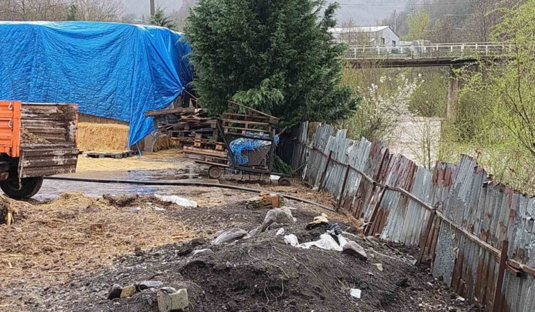 Dereye hayvansal atık bırakan çiftlikler yakalandı