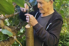 Bilecik huzurevinde kalan yaşlılar bahçeyi güzelleştiriyor