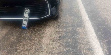 Köpeğe çarpan araç kaza yaptı: maddi hasar oluştu