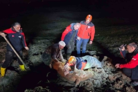 Yalova’da bataklıkta mahsur kalan vatandaş ve büyükbaş hayvanı kurtarıldı