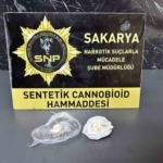 Sakarya’da iki ilçede zehir taciri operasyonu: 2 tutuklama