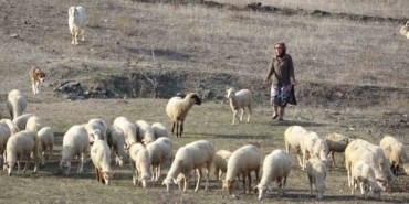 Bursa’da boğazından bıçaklanarak öldürülen kadının eski görüntüleri ortaya çıktı