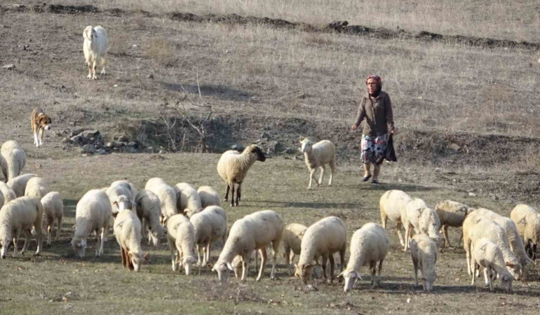 Bursa’da boğazından bıçaklanarak öldürülen kadının eski görüntüleri ortaya çıktı