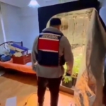 Yalova’da evinde uyuşturucu yetiştiren şüpheli yakalandı