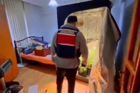 Yalova’da evinde uyuşturucu yetiştiren şüpheli yakalandı