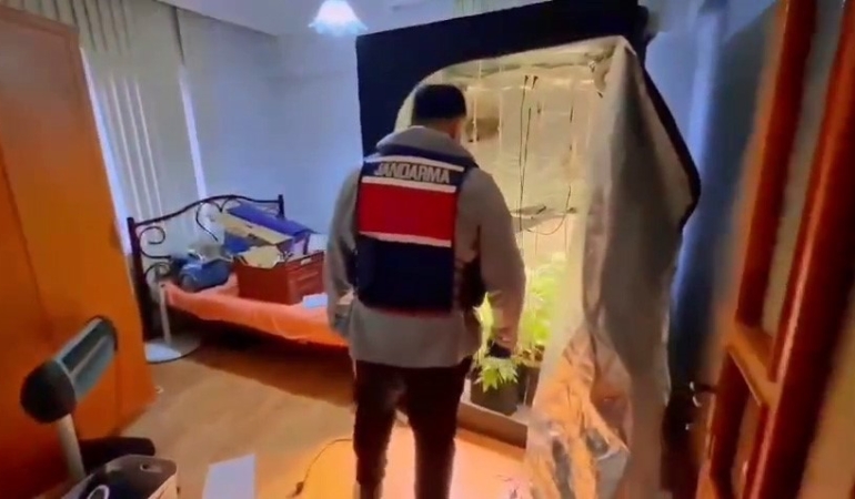 Yalova’da evinde uyuşturucu yetiştiren şüpheli yakalandı