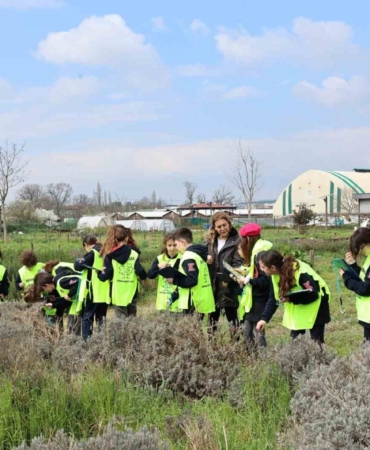 Ürünlü’de doğa sevgisi yeşeriyor