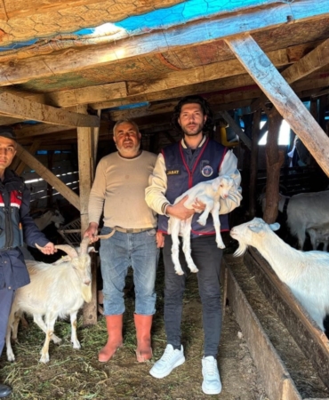 Kaybolan 50 küçükbaş hayvan dron destekli aramayla bulundu