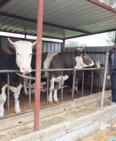 Balıkesir’de kurbanlık satışları başladı