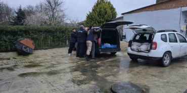 Silivri’de satışa hazır 306 at eti yakalandı