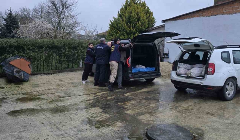 Silivri’de satışa hazır 306 at eti yakalandı