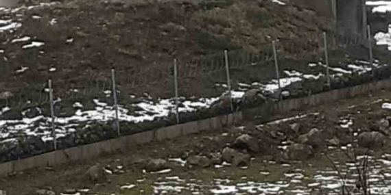 Göç yolculuğundaki leylekler Sakarya’da mola verdi
