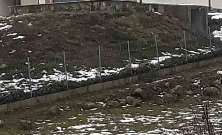 Göç yolculuğundaki leylekler Sakarya’da mola verdi