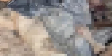 Bozüyük’teki barınak skandalına bir yenisi daha eklendi