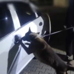 İstanbul’dan takibe alındılar, Sakarya’da yakalandılar: 2 kişi tutuklandı