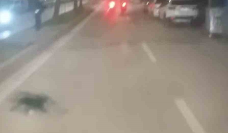 Bursa’da ’dur’ ihtarına uymayan motosikletli yakalandı: 200 bin TL ceza