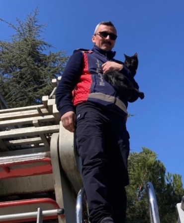 Ağaçta kalan kediyi itfaiye kurtardı