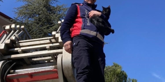 Ağaçta kalan kediyi itfaiye kurtardı