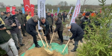 Bursa’da 2 yıl önce yanan 80 hektarlık alan ağaçlandırıldı
