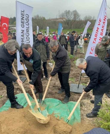 Bursa’da 2 yıl önce yanan 80 hektarlık alan ağaçlandırıldı