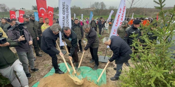 Bursa’da 2 yıl önce yanan 80 hektarlık alan ağaçlandırıldı