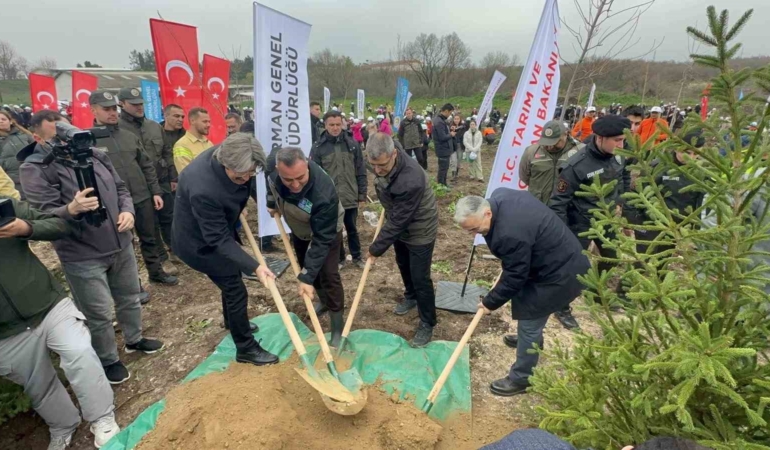 Bursa’da 2 yıl önce yanan 80 hektarlık alan ağaçlandırıldı
